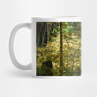 850_2700 Mug